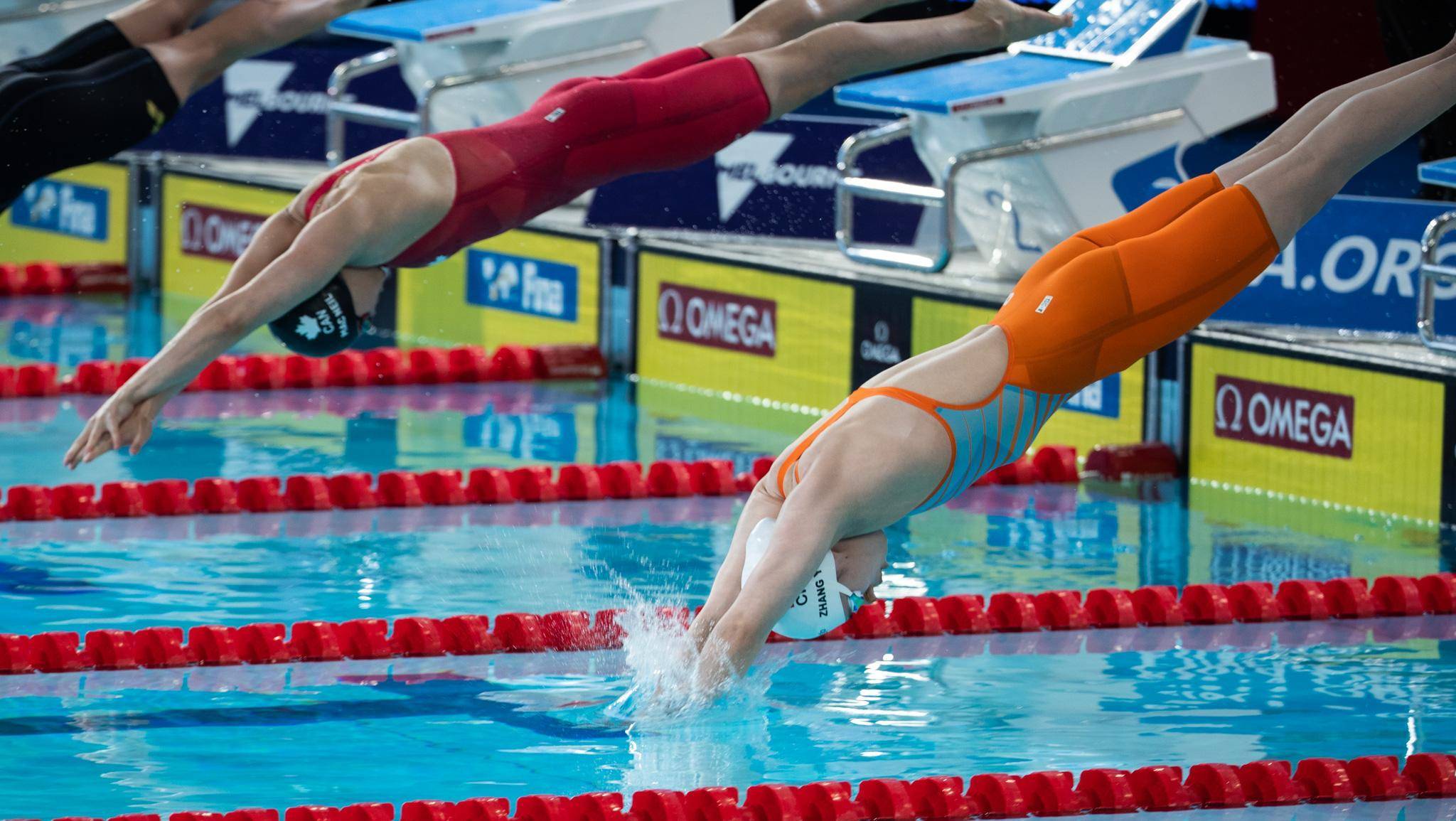 游泳赛事精彩瞬间盘点,年度回顾震撼登场的简单介绍 游泳赛事精彩瞬间盘点,年度回顾震撼登场的简单介绍