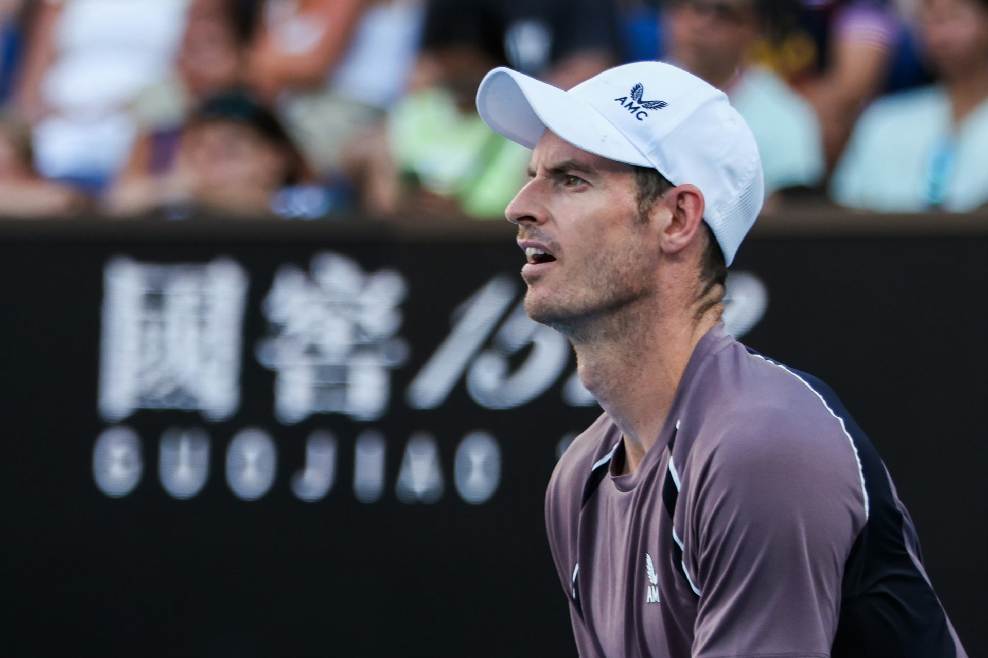 蒙特卡洛大师赛横扫澳网,穆雷统治全场 蒙特卡洛大师赛横扫澳网,穆雷统治全场