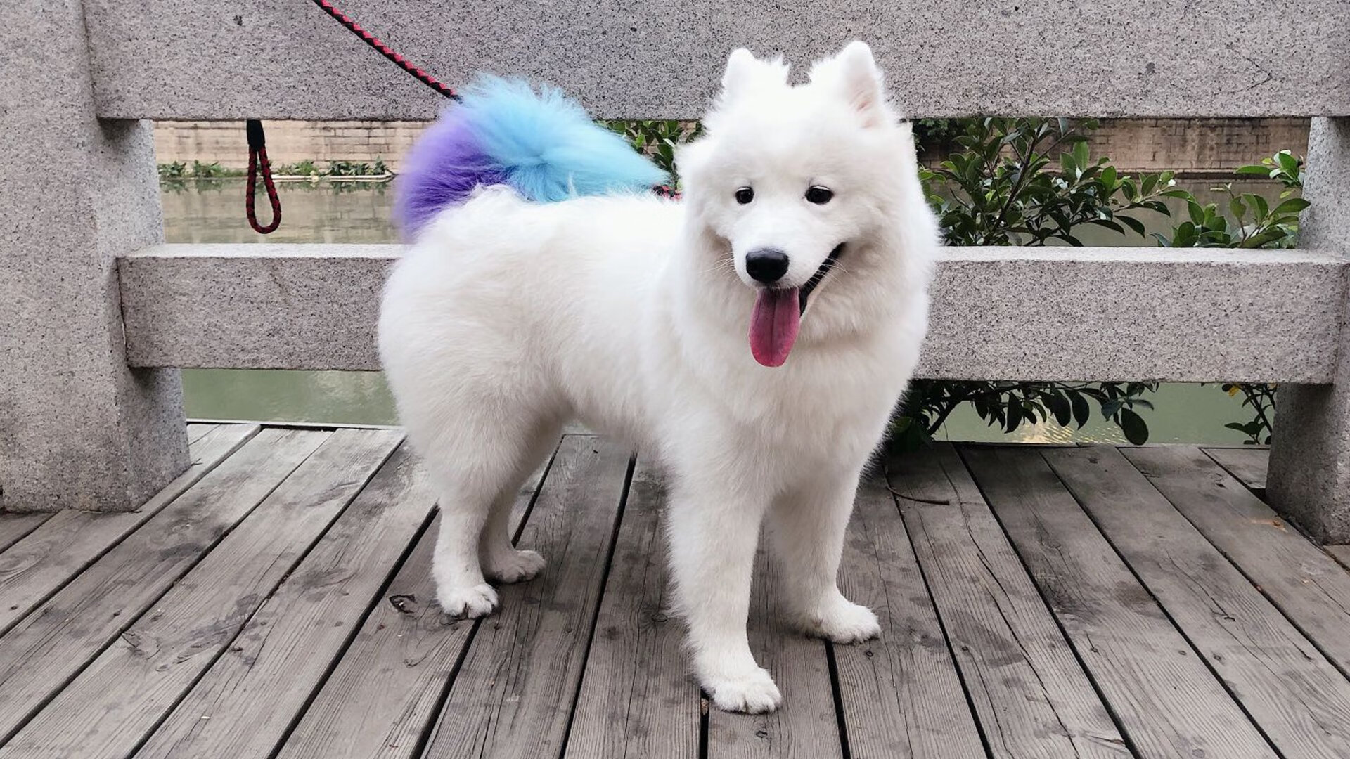 手术刀与灵魂拼图,王皓的神鬼对决