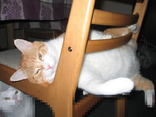 东方征途,黄黑风暴鏖战中国,哈兰德新王加冕夜