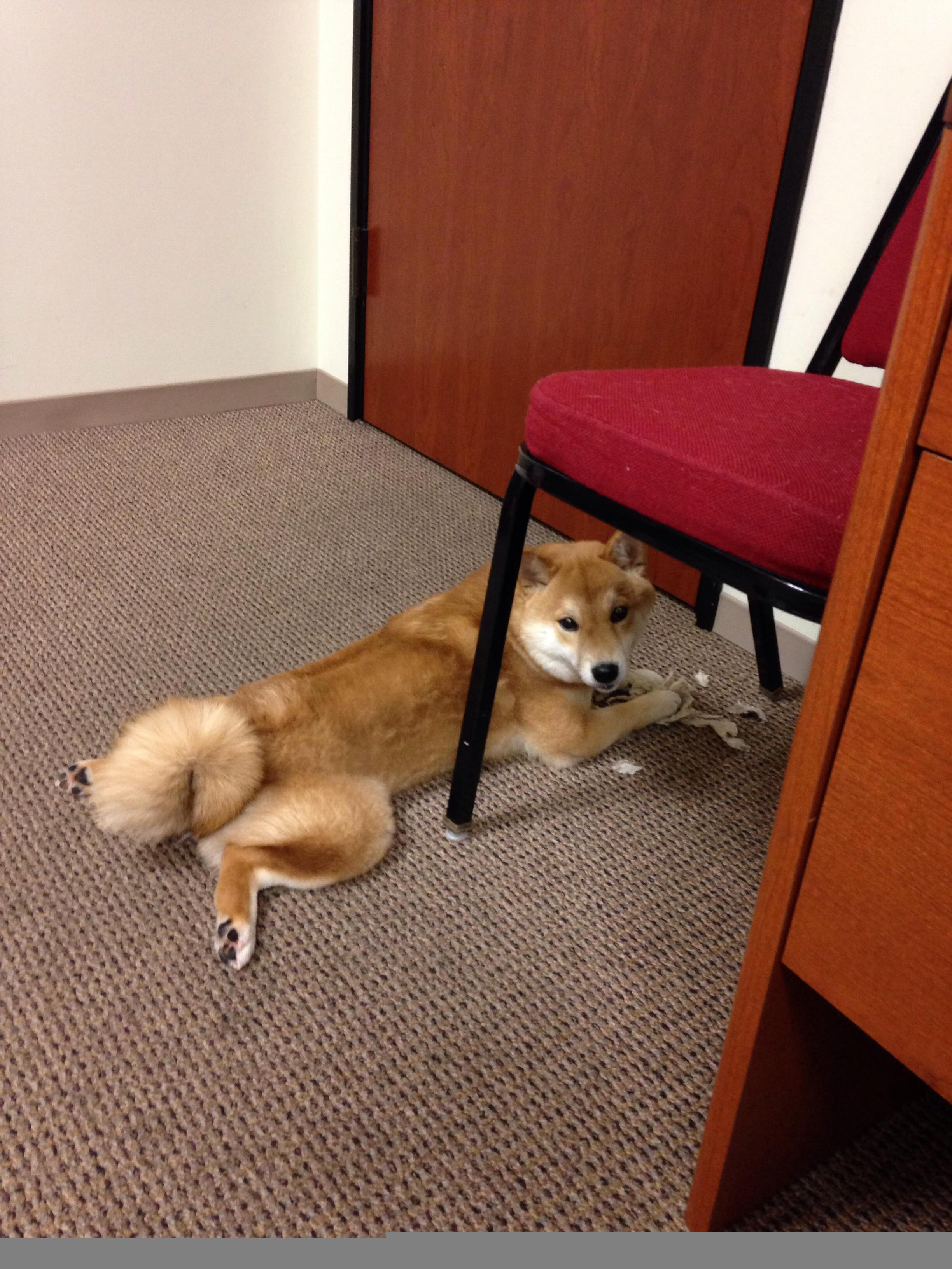 复仇的轮回，从欧冠鏖战到世界杯接管，弗拉霍维奇的涅槃