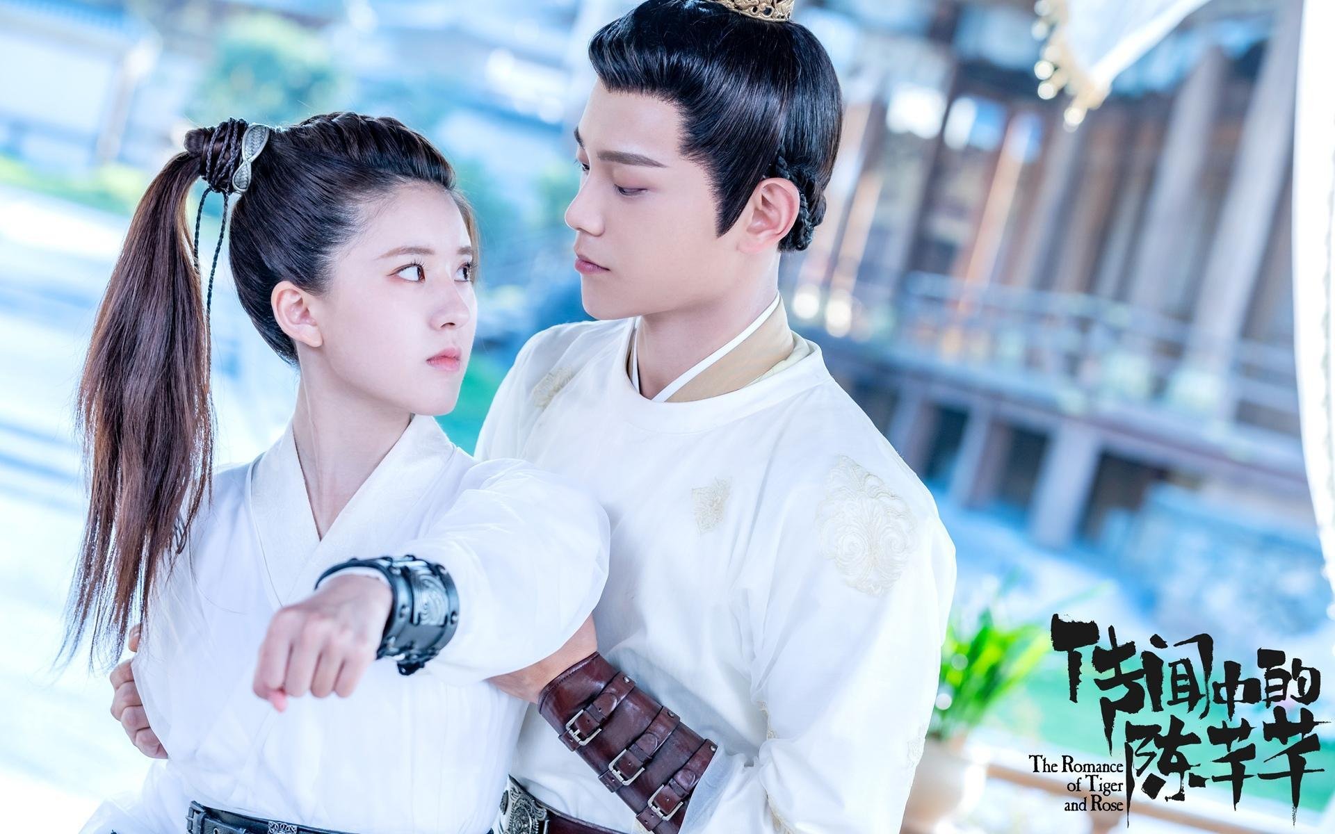 篮球场上的错位时空，东契奇孤星闪耀，森林狼狼群撕碎国王