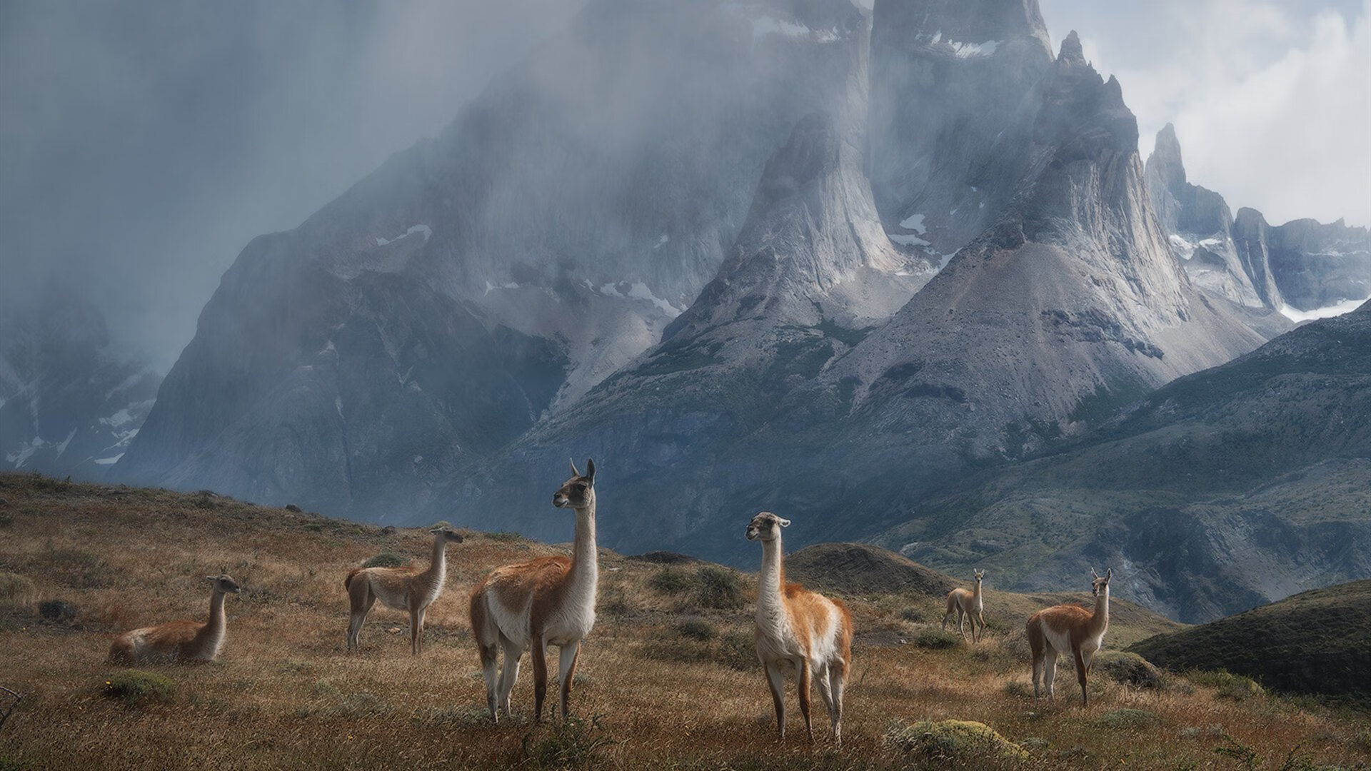 幻境对决，奥亚尔萨瓦尔在乌克兰对阵墨西哥的跨界之战中连续得分改写关键节点