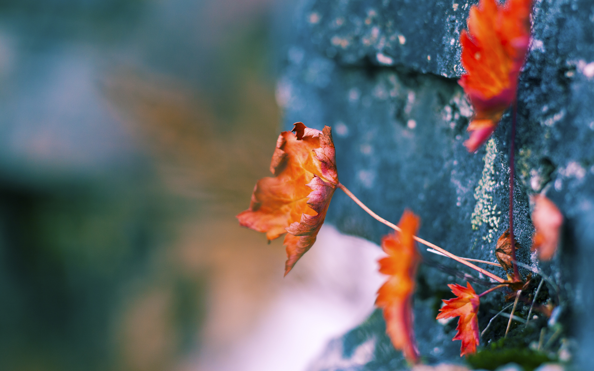 跨越时空的竞技交响，当NBA季后赛遇见那不勒斯奇迹夜