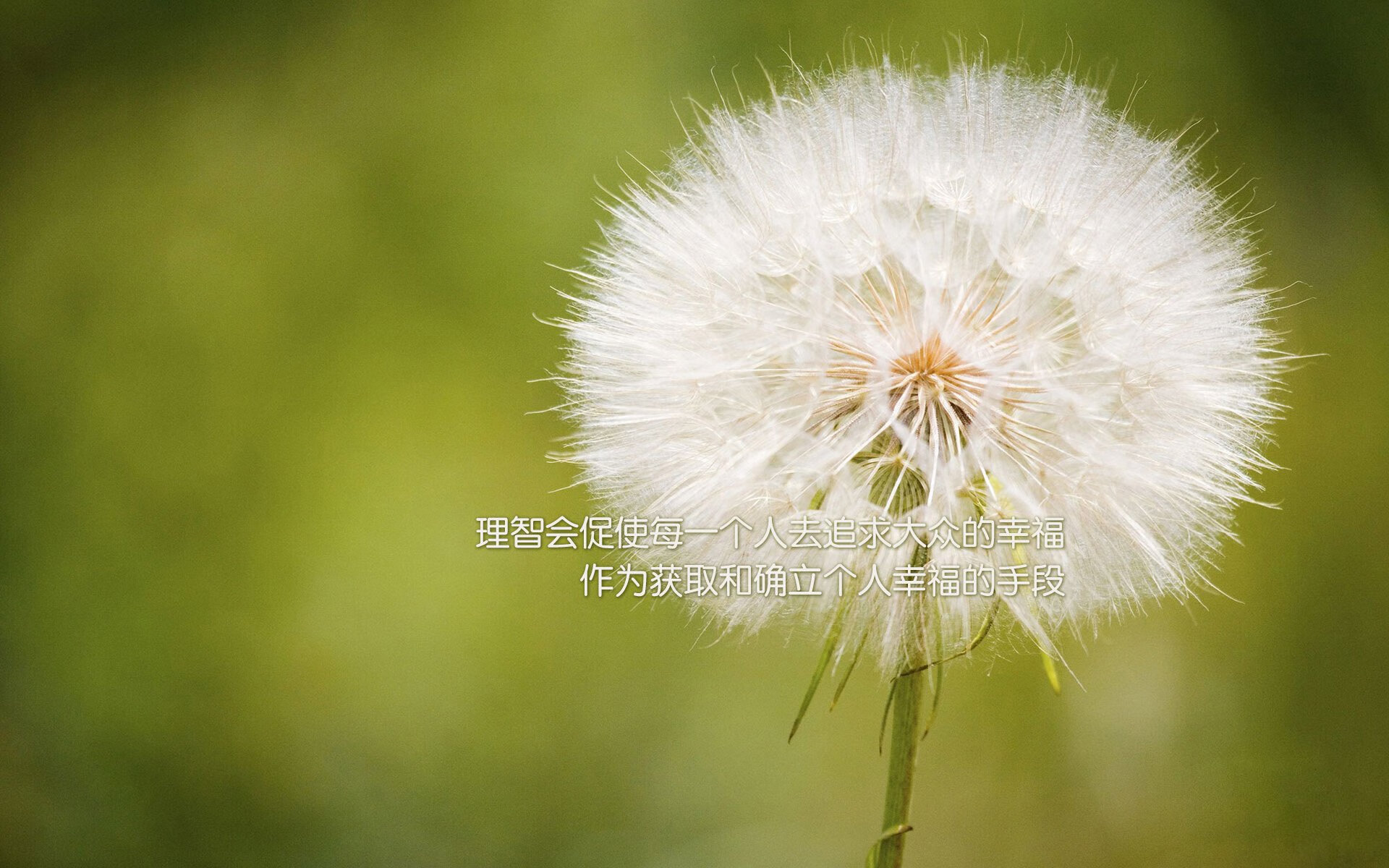 当欧冠半决赛夜遇见塔图姆时刻,一场跨越时空的绝杀共振