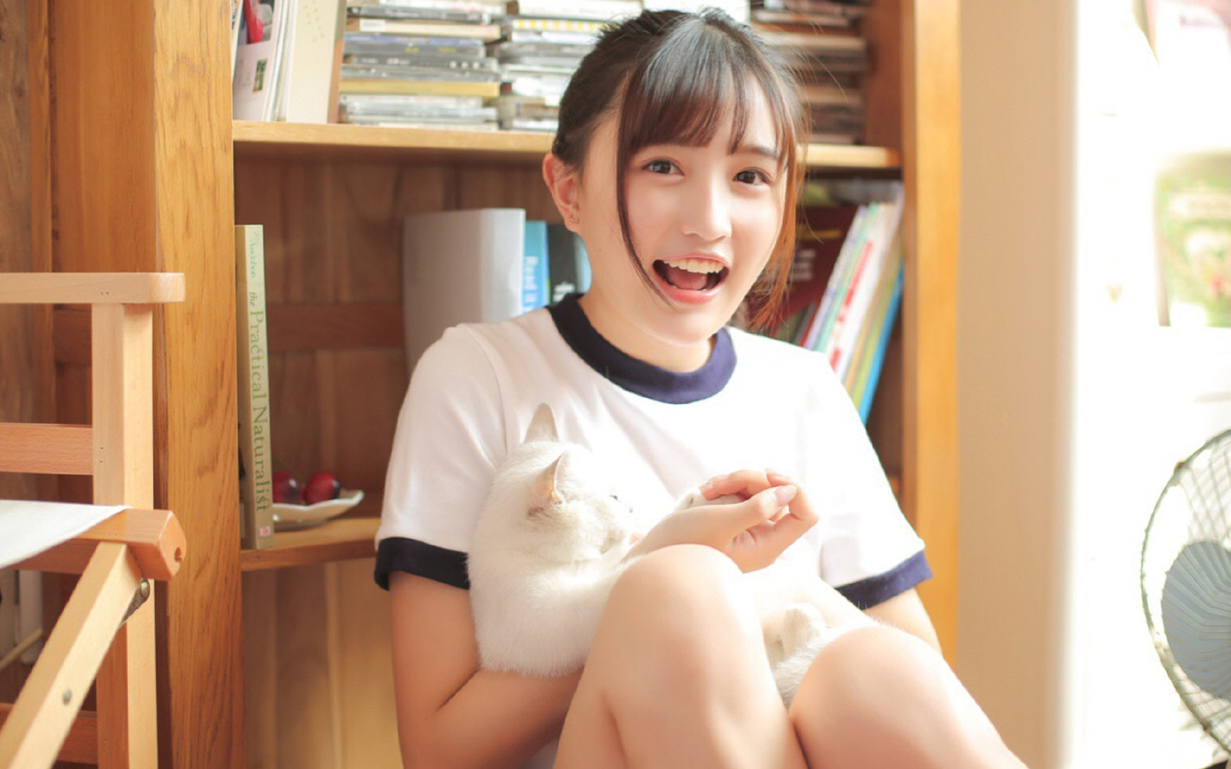 平行世界的巅峰，当温布利遇见橄榄球之巅—足球与橄榄球的双重狂想曲