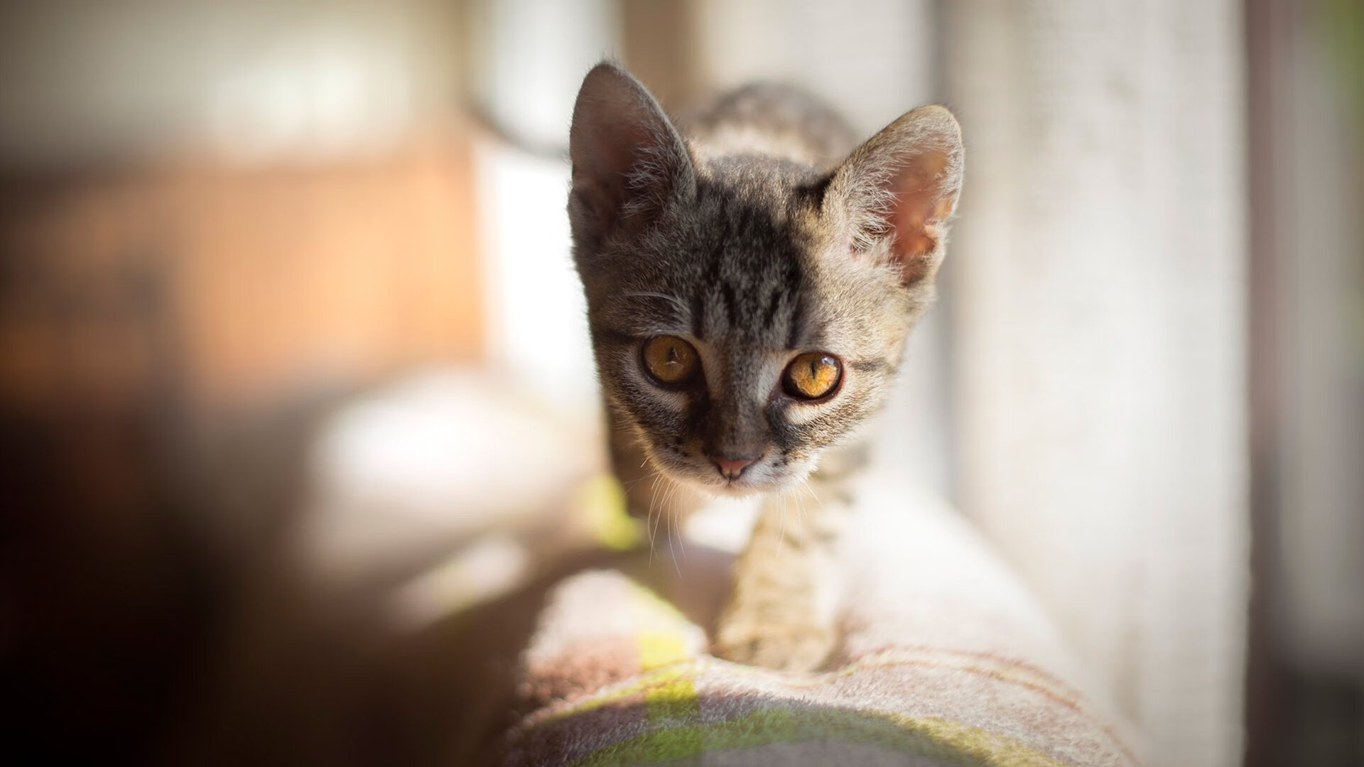 钥匙在谁手中？奇才用不完美节奏锁死了步行者的奔腾之心