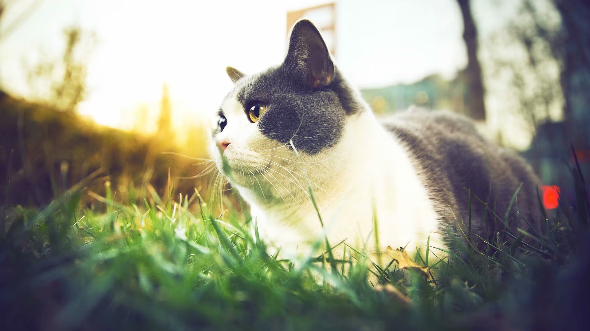 欧冠式东决关键战之夜,德里赫特化身篮筐守护神