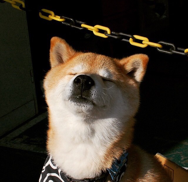 绿茵双面，绝杀时刻的窒息与数据机器的轰鸣