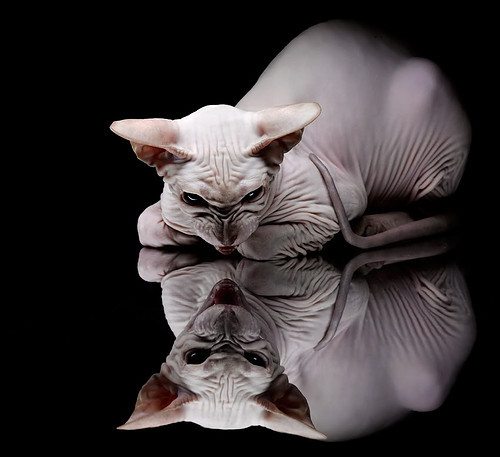 压哨绝杀，永恒悬念，从西班牙绝杀智利到意甲焦点战的足球魅力