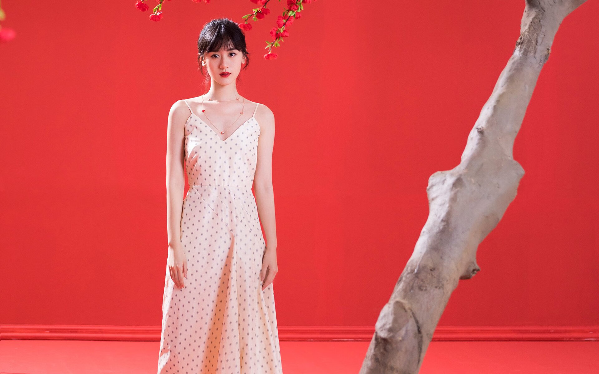 审判夜，西亚卡姆巨星光环下，辽宁队提前坠入终局深渊