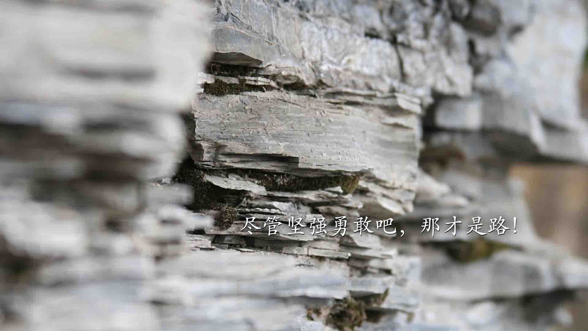 暴风骤雨下的绿军之殇，辽宁全线压制波士顿，切特·罗林斯化身东方密码破解者