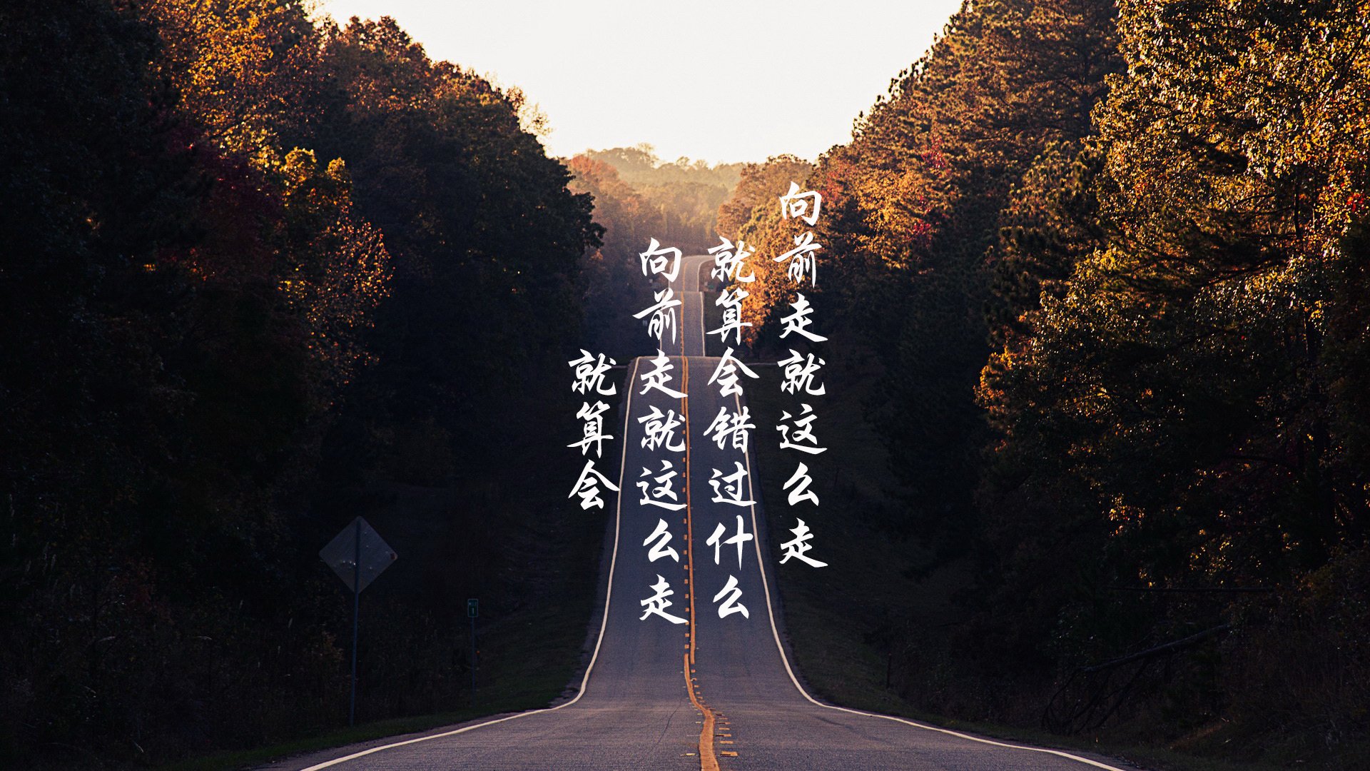 沙漠风暴席卷欧陆，沙特2026世界杯关键战击溃比利时，努涅斯用默契谱写绿洲神话