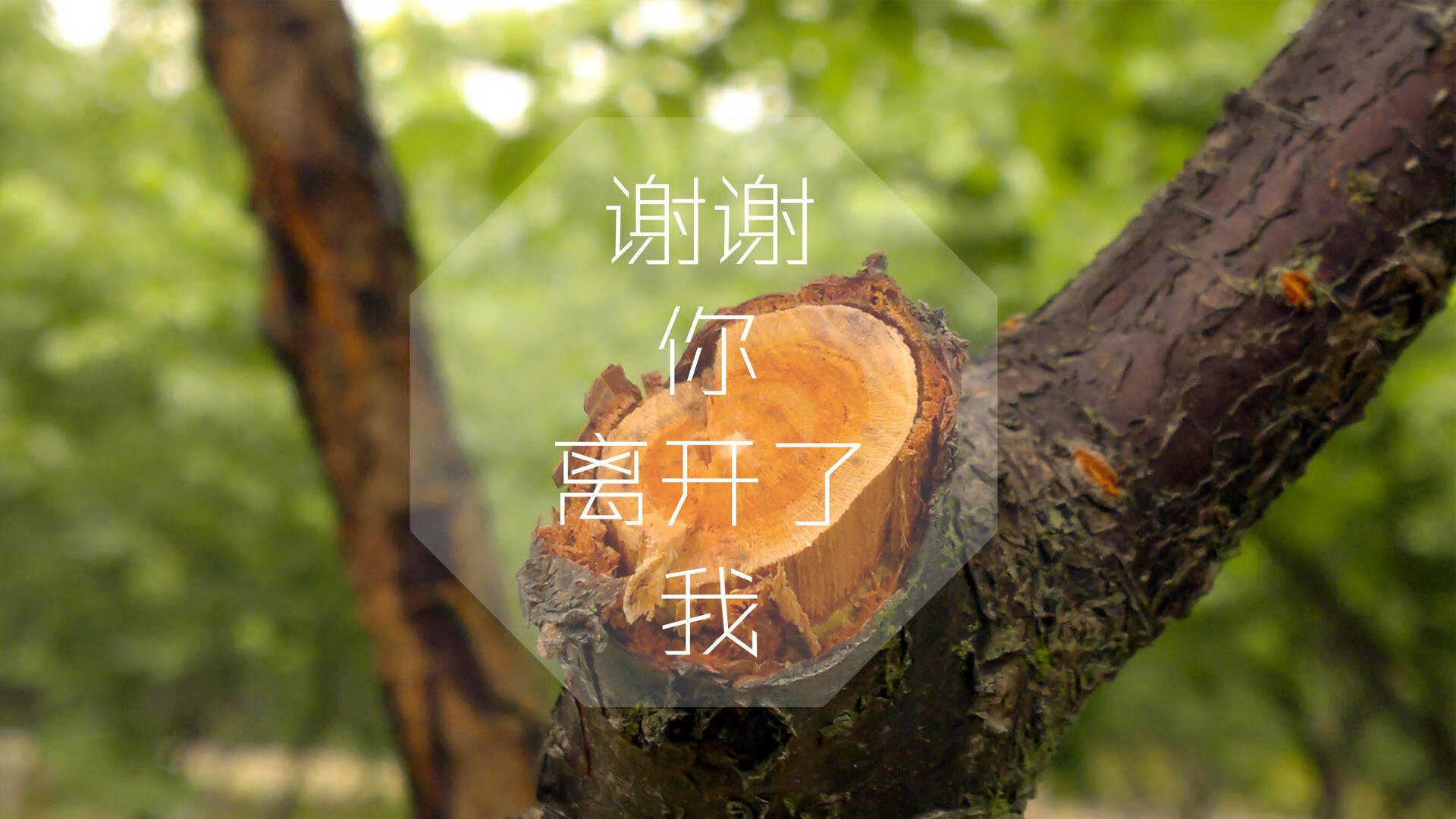北境神话再临,2026世界杯F组冰岛绝杀德国,格列兹曼带队复仇演绎生死时速