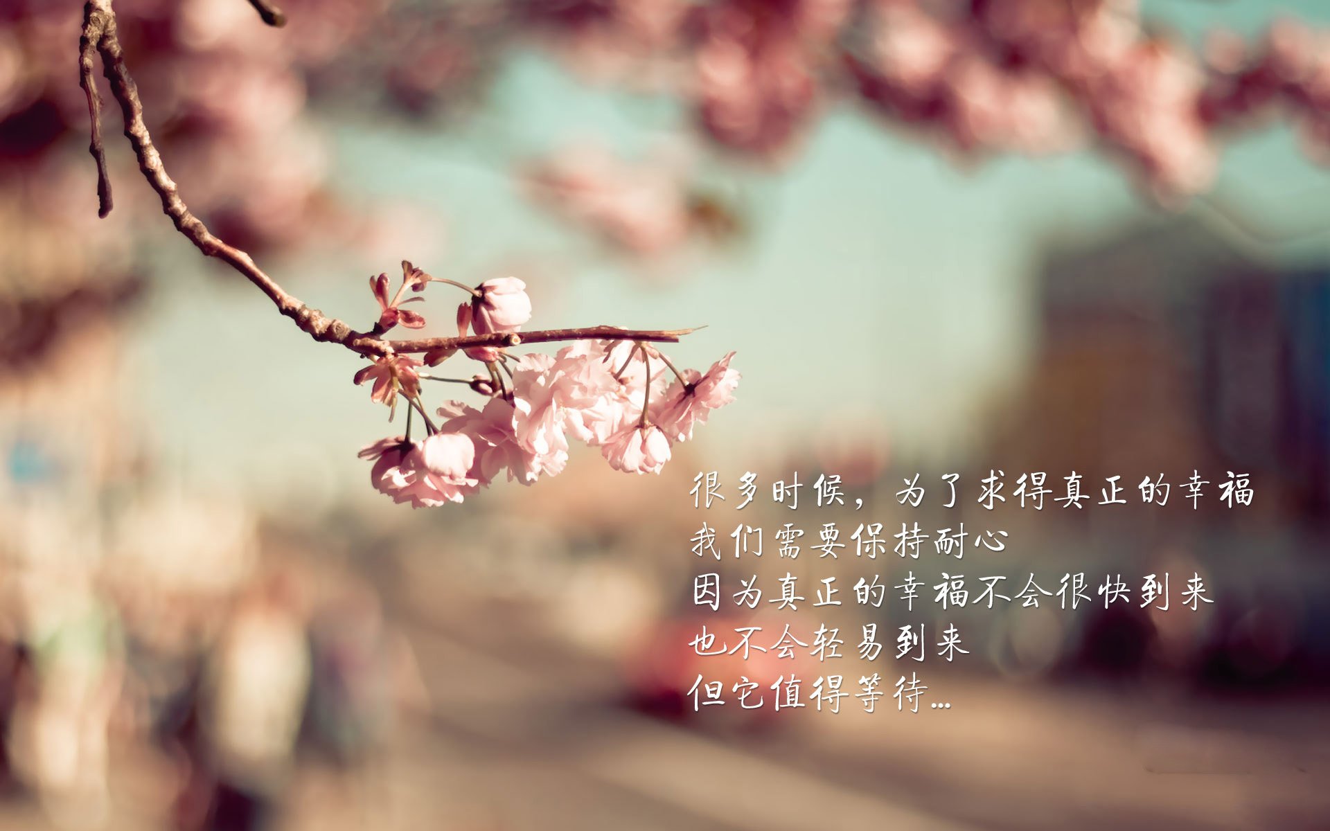 冰与火之歌,2026世界杯F组,泰国风暴席卷北欧,拉什福德独舞点亮强强对话之夜